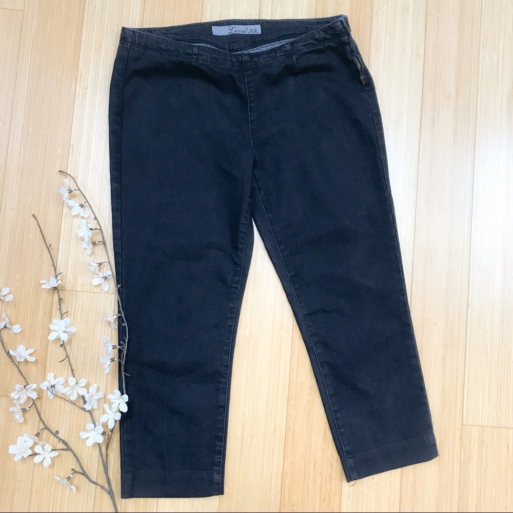 Anthropologie Level 99 Dark Wash Denim Capris, 4.